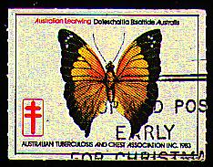 Doleschallia bisaltide