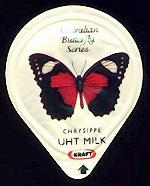 Cethosia cydippe