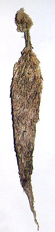 Metura aristocosma